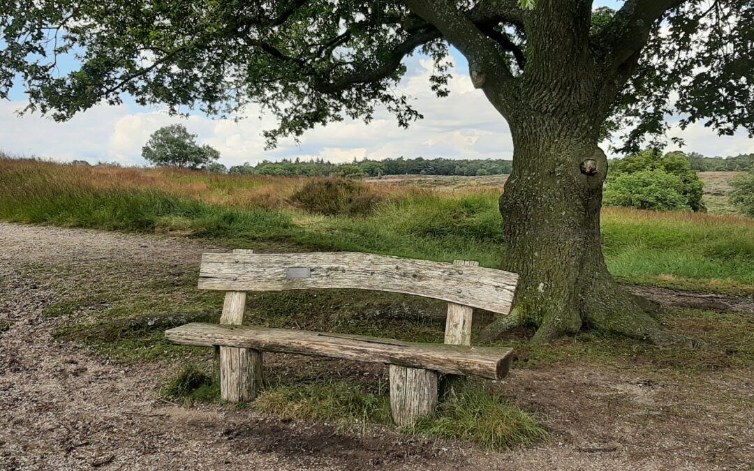 Natuur als recept