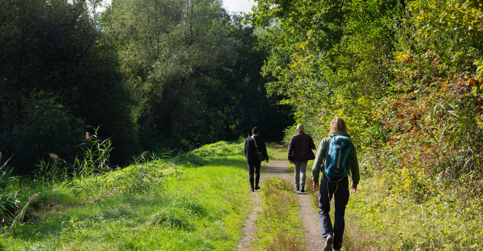 Het belang van een natuurlijke omgeving voor je zenuwstelsel